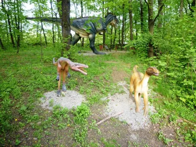 DinoZatorland - Polsko, fotografie 19