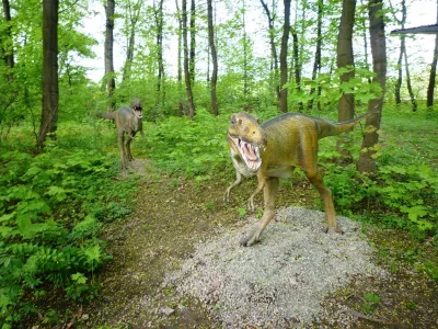 DinoZatorland - Polsko, fotografie 20