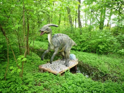 DinoZatorland - Polsko, fotografie 32