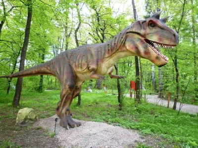 DinoZatorland - Polsko, fotografie 37