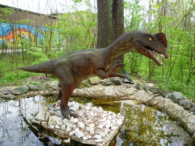 DinoZatorland - Polsko, fotografie 38