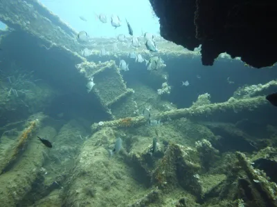 Elba - Itálie, fotografie 38