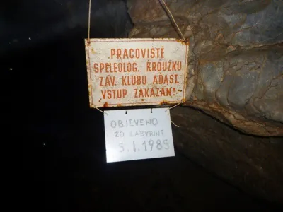 Plazivá kačena, fotografie 48