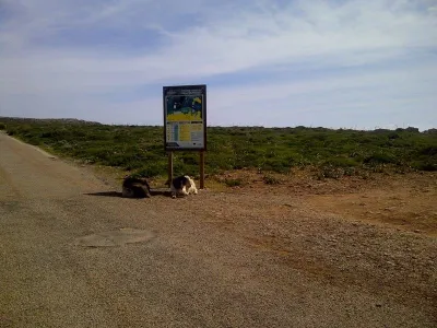 Menorca, fotografie 6