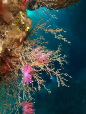 Menorca, fotografie 24