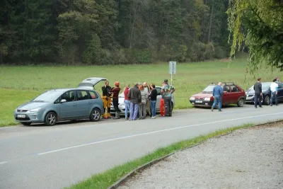 Plazivá kačena, fotografie 12