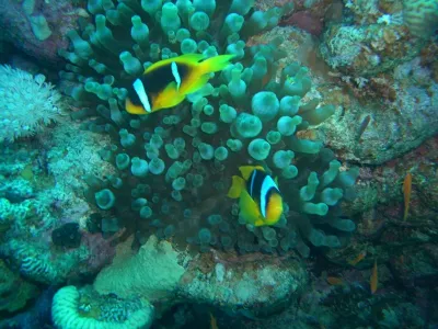 Egypt, fotografie 48