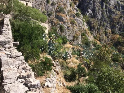 Ostrov Brač - Chorvatsko, fotografie 42