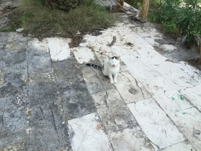 Ostrov Brač - Chorvatsko, fotografie 68