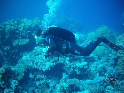 Egypt - severní safari, fotografie 20