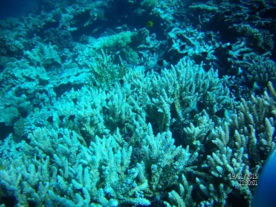 Egypt - severní safari, fotografie 26
