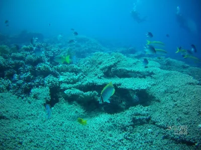 Egypt - severní safari, fotografie 28