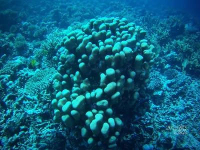 Egypt - severní safari, fotografie 32