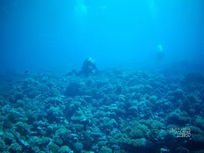 Egypt - severní safari, fotografie 33