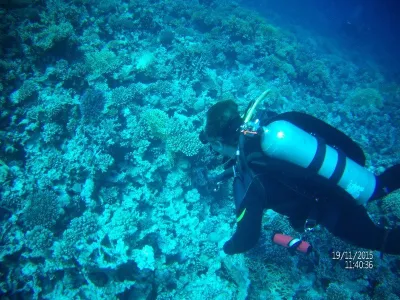 Egypt - severní safari, fotografie 36