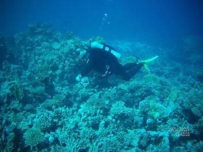 Egypt - severní safari, fotografie 40