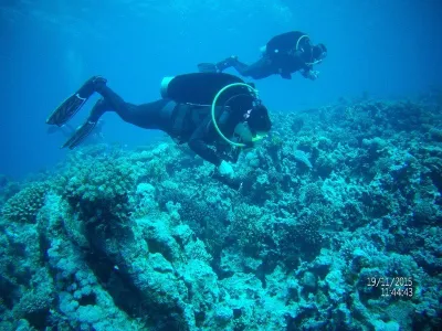 Egypt - severní safari, fotografie 41