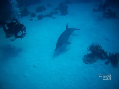 Egypt - severní safari, fotografie 52