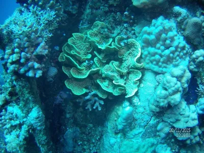 Egypt - severní safari, fotografie 70