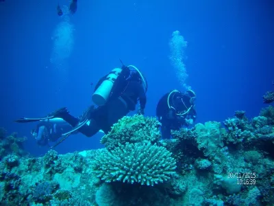 Egypt - severní safari, fotografie 71