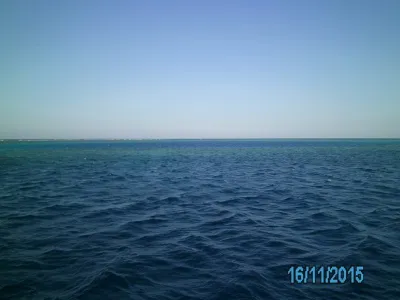 Egypt - severní safari, fotografie 107