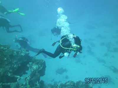 Egypt - severní safari, fotografie 108