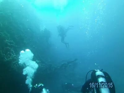 Egypt - severní safari, fotografie 111