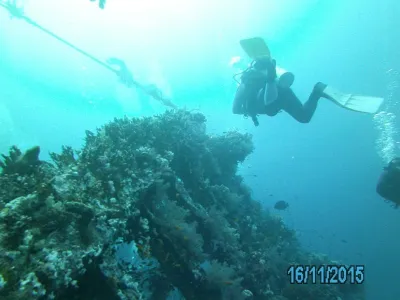 Egypt - severní safari, fotografie 129