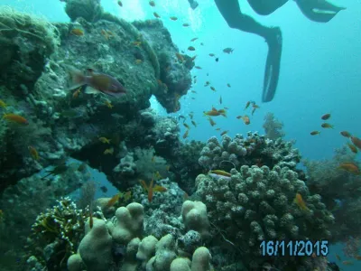 Egypt - severní safari, fotografie 132