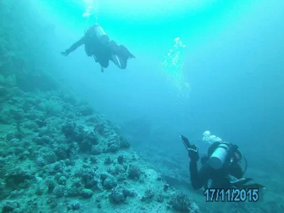 Egypt - severní safari, fotografie 136