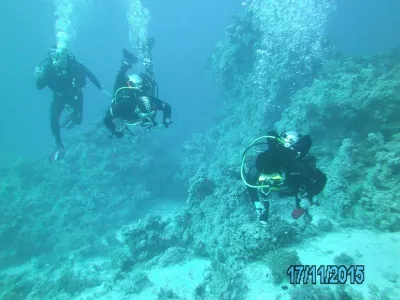 Egypt - severní safari, fotografie 139