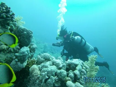Egypt - severní safari, fotografie 144