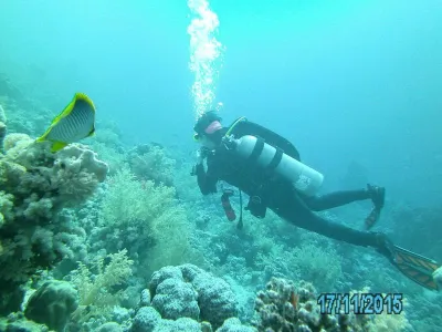 Egypt - severní safari, fotografie 145