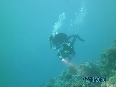 Egypt - severní safari, fotografie 149