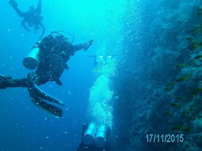 Egypt - severní safari, fotografie 161