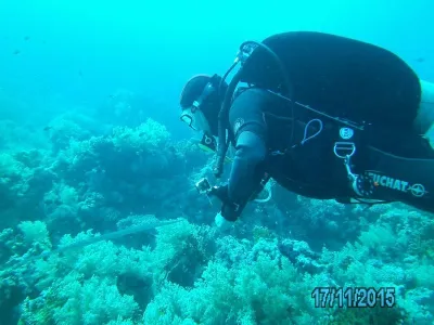 Egypt - severní safari, fotografie 168