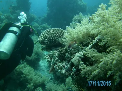 Egypt - severní safari, fotografie 174
