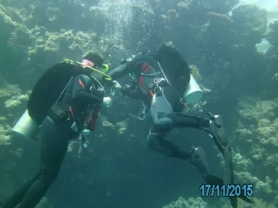 Egypt - severní safari, fotografie 184