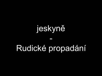 Plazivá kačena, fotografie 3