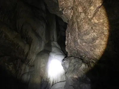 Plazivá kačena, fotografie 9