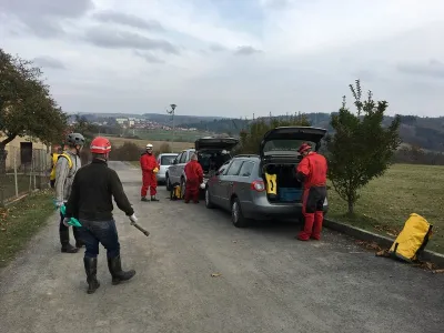 Plazivá kačena, fotografie 21
