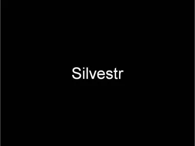 Silvestr Blansko, fotografie 1