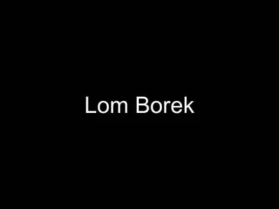 Lom Borek, fotografie 1