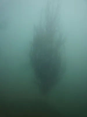 Lom Výkleky, fotografie 42