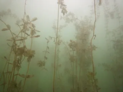 Senec - Slnečná jezerá, fotografie 13