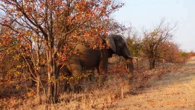 Expedice Mosambik - Afrika, fotografie 11