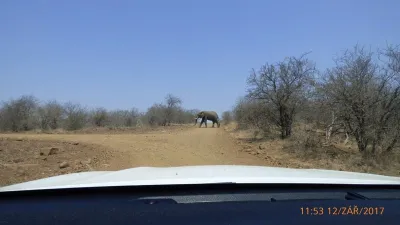 Expedice Mosambik - Afrika, fotografie 36