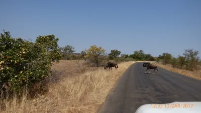 Expedice Mosambik - Afrika, fotografie 37