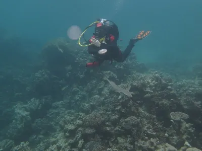 Egypt - Marsa Alam, fotografie 6