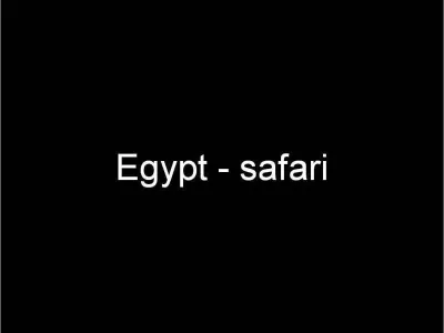 Egypt - Safari, fotografie 1